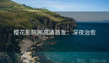 樱花影院网高清首发：深夜治愈