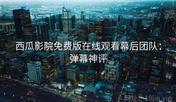 西瓜影院免费版在线观看幕后团队：弹幕神评