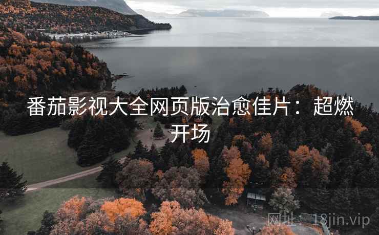 番茄影视大全网页版治愈佳片：超燃开场