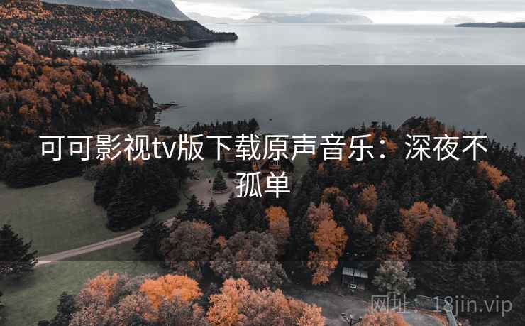 可可影视tv版下载原声音乐：深夜不孤单