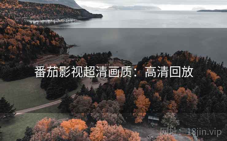 番茄影视超清画质：高清回放